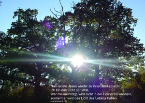 Licht der Welt - Johannes 8;12 -Christine Danzer -go4jesus