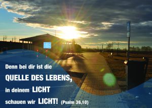 In deinem Licht - Psalm 36,10 - Christine Danzer -go4jesus