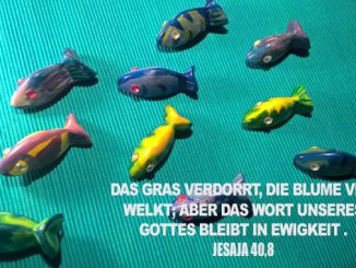 fische Links-go 4 jesus - Christine Danzer - Bibel