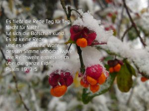 Pfaffenhütchen im Schnee - BibelzitatPsalm 19,3-5 Es fließt die Rede Tag für Tag, Nacht für Nach tut sich die Botschaft kund - Foto: Christine Danzer - go 4 jesus