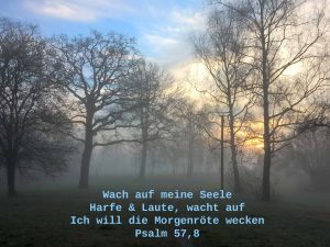 Morgenlandschaft im Nebel - Psalm 57, 8 - Wach auf meine Seele - Christine Danzer - go 4 jesus