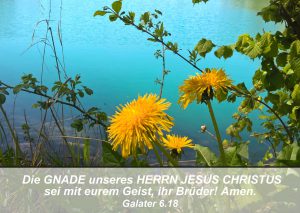 Löwenzahn- Bibelzitat Galater 6,18 - go 4 jesus - Danzer, Christine