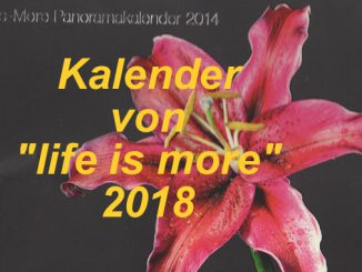 Evangelisationskalender 2018 - life is more - go 4 jesus