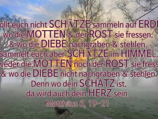 04_okt_17_Schätze auf Erden - Hinter dem Nebel - Christine Danzer - go 4 jesus