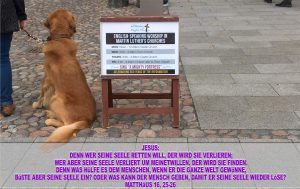 Hund vor der Schlosskirche - Wittenberg - go 4 Jesus - Jesus lehrte - Bibel - Christine Danzer