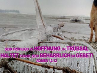 eisbaum- Gebet - Christine Danzer - go 4 jesus - Bibel