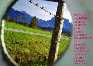 Badewannen Durchblick - Psalm 34,7-8 - Christine Danzer -go4jesus