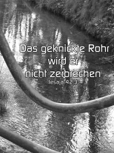 Geknicktes Rohr - Jesaja 42, 3 -Das geknickte Rohr wird er nicht zerbrechen - Christine Danzer - go 4 jesus