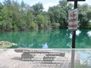 Fischen verboten - Erwirb Weisheit, erwirb Verstand; vergiß die Reden meines Mundes nicht und weiche nicht davon ab! - Chrstine Danzer - go 4 jesus