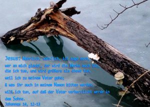 Ast im Eis-Bibelzitat - Johannes 14,12 - Foto: Christine Danzer - go 4 Jesus - Bibel