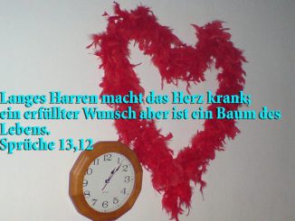 HErz, Spüche 13,12, Foto: Christine Danzer go 4 Jesus