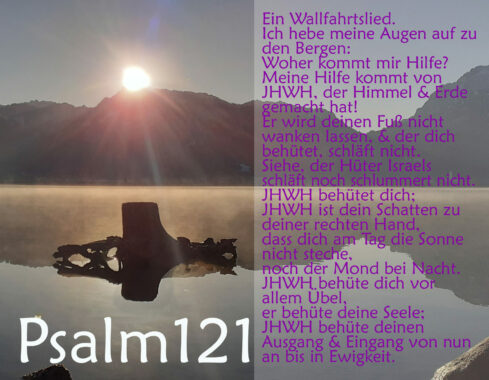 Bibel, Wurzel mit Psalm 121, Foto: Christine Danzer, go 4 Jesus